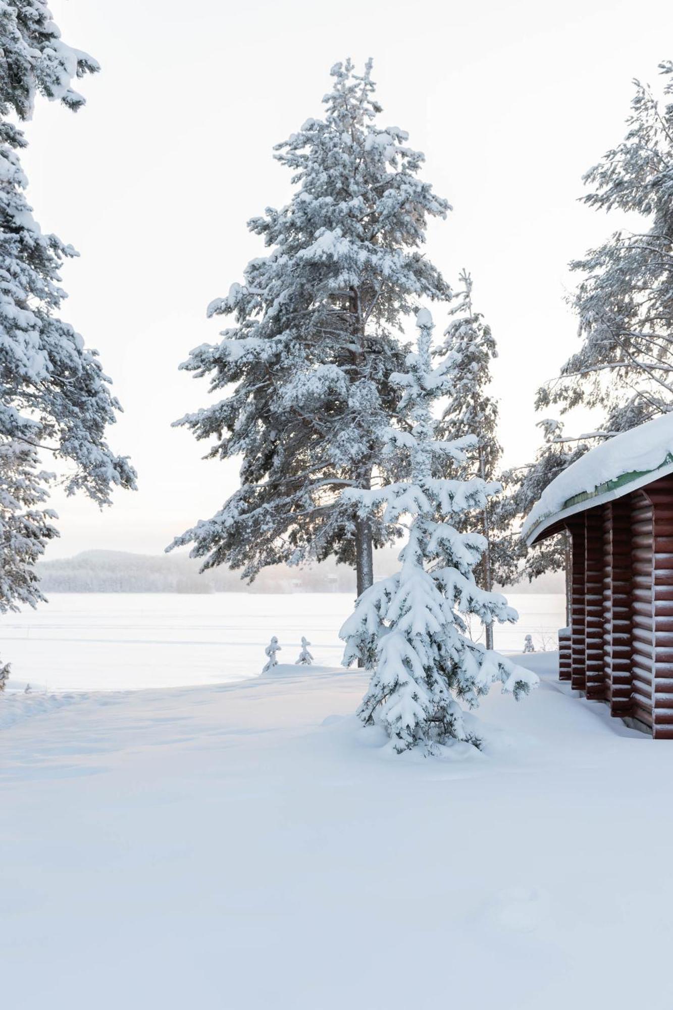 Lapland Arctic Cabins Kemijärvi Dış mekan fotoğraf