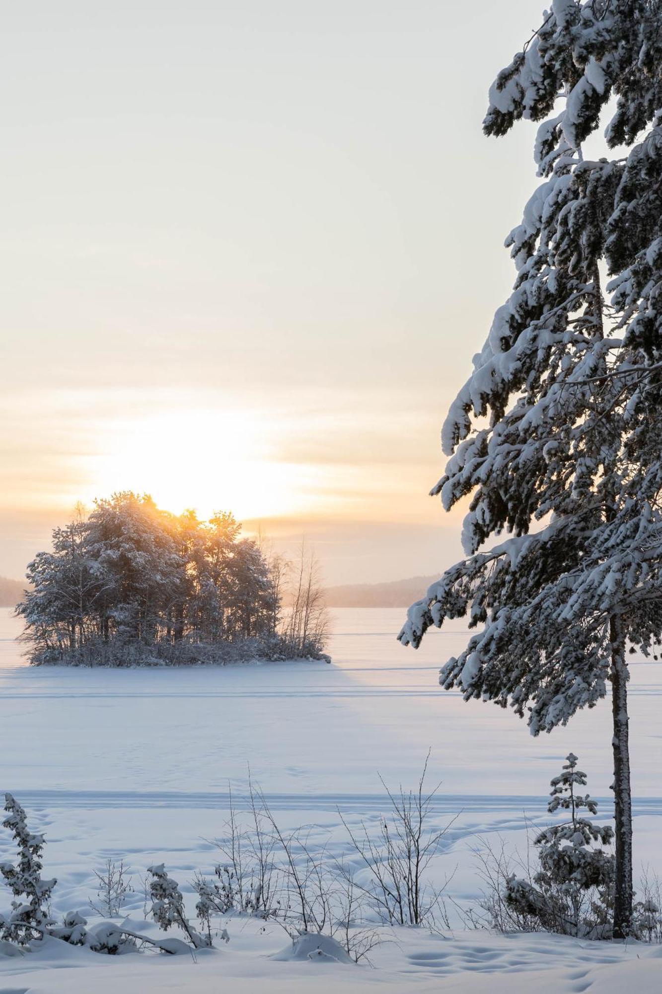Lapland Arctic Cabins Kemijärvi Dış mekan fotoğraf
