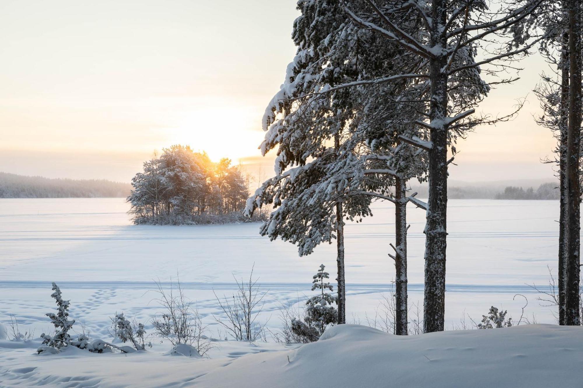 Lapland Arctic Cabins Kemijärvi Dış mekan fotoğraf