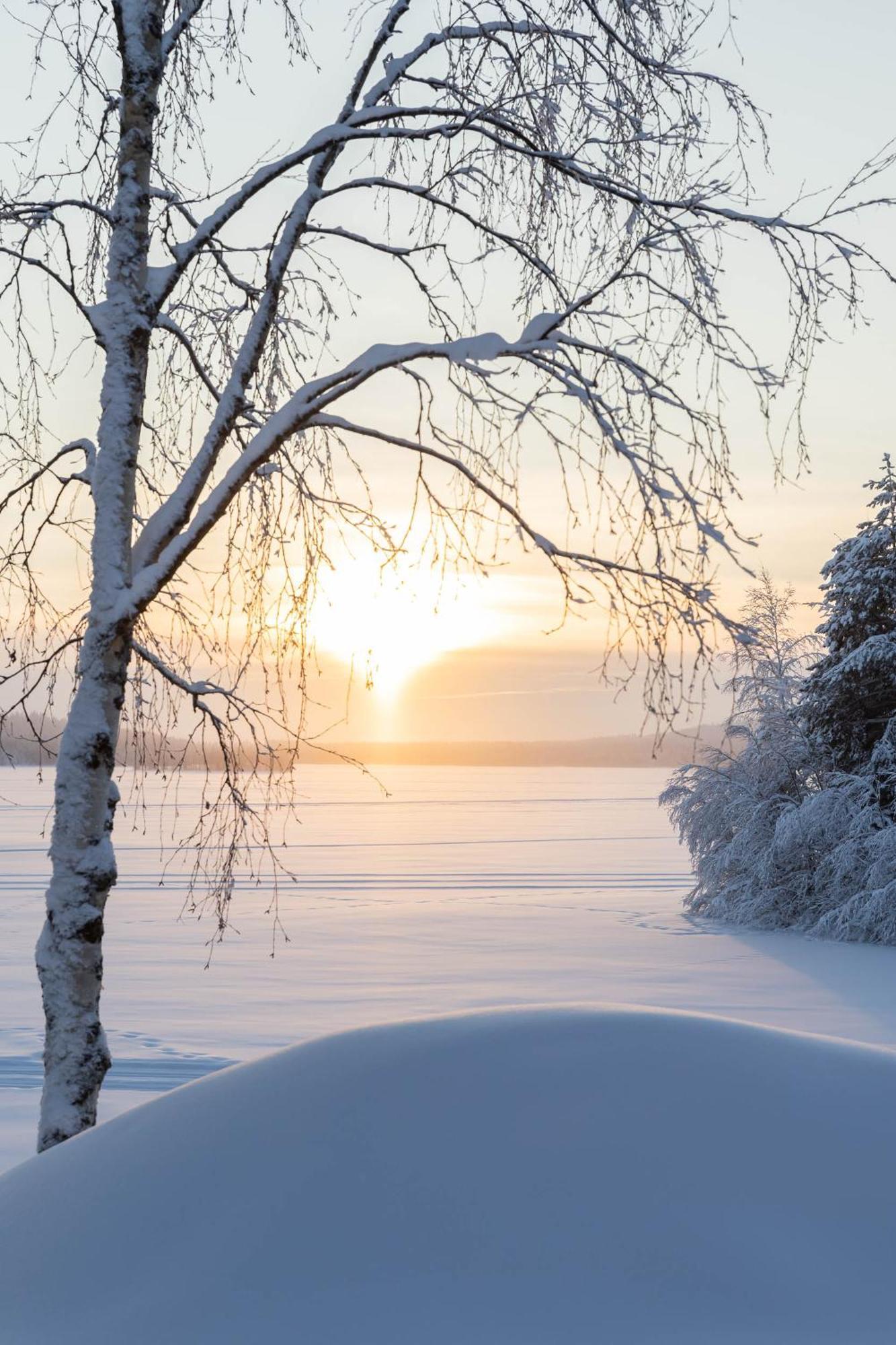 Lapland Arctic Cabins Kemijärvi Dış mekan fotoğraf