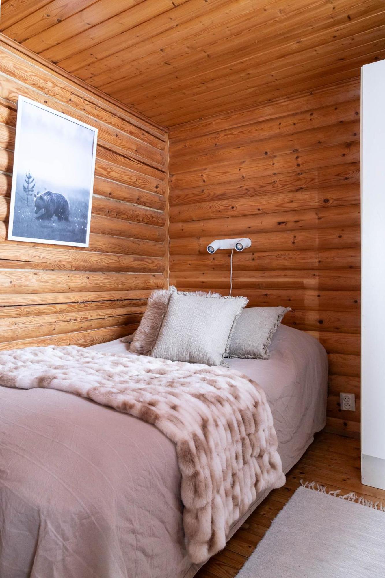 Lapland Arctic Cabins Kemijärvi Dış mekan fotoğraf