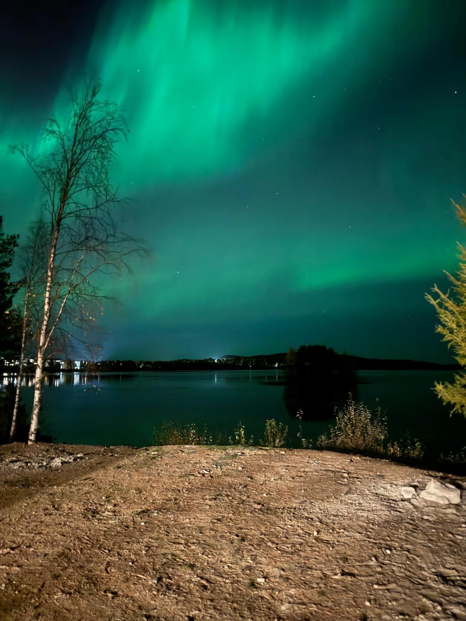 Lapland Arctic Cabins Kemijärvi Dış mekan fotoğraf