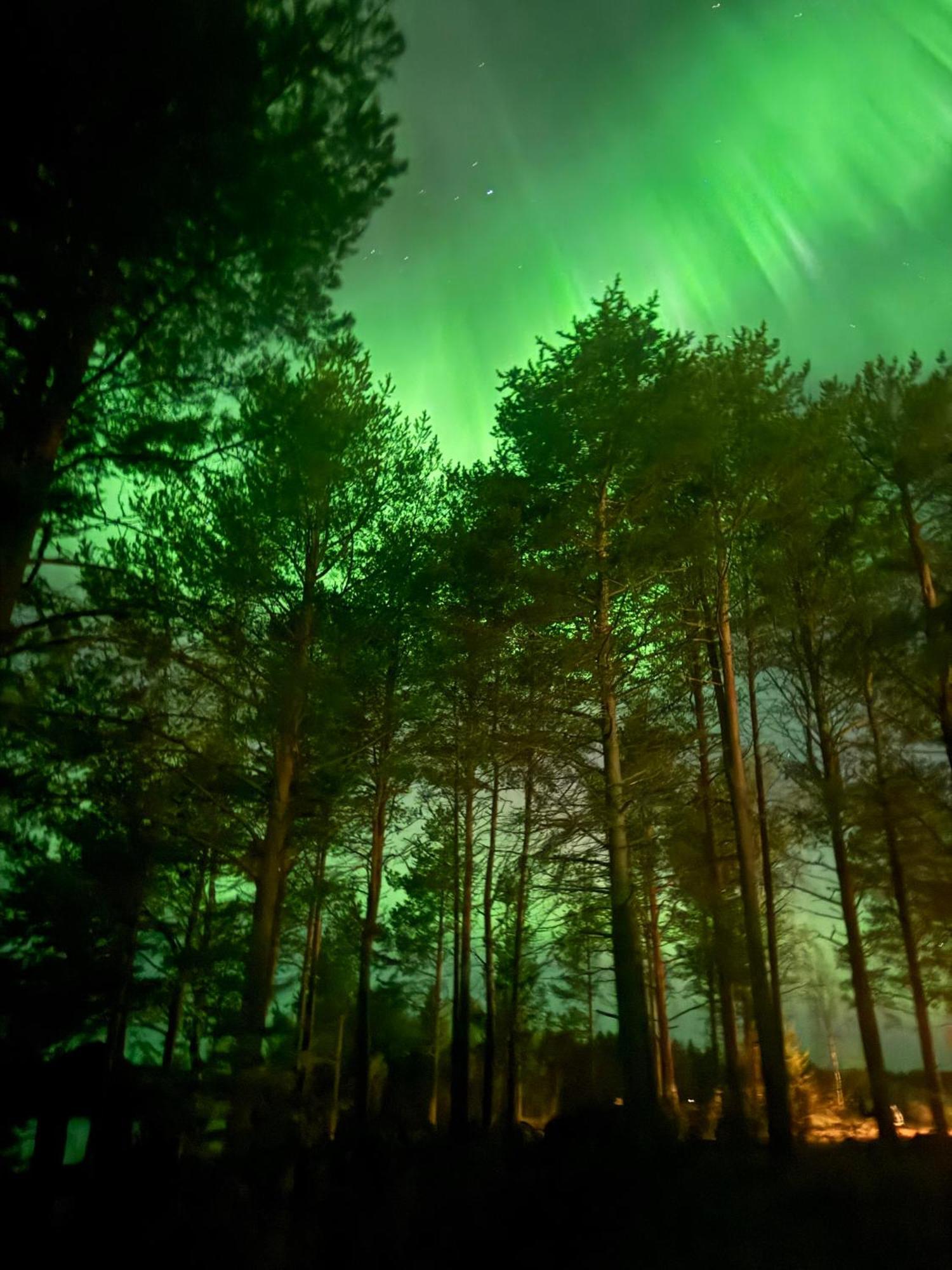 Lapland Arctic Cabins Kemijärvi Dış mekan fotoğraf