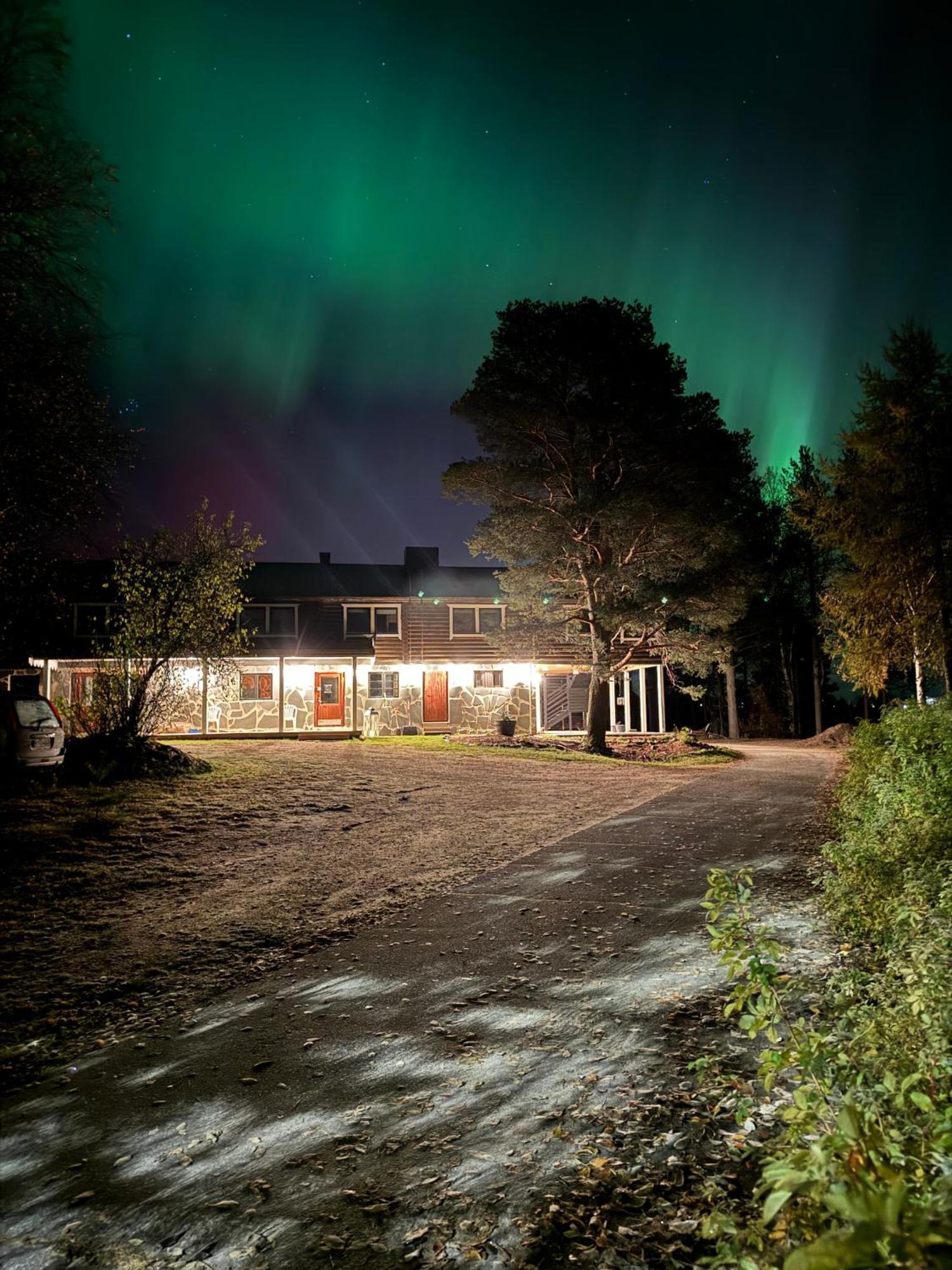 Lapland Arctic Cabins Kemijärvi Dış mekan fotoğraf